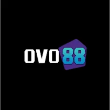 OVO88 - Balap Mobil yang Seru dan Mengasyikkan